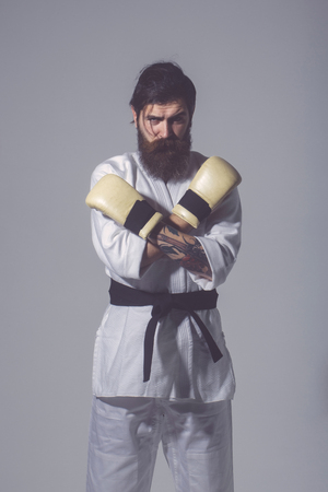 bearded karate man, long beard, brutal caucasian hipster with moustache in white kimono with black belt and boxing gloves with serious face on grey background, unshaven guyの写真素材