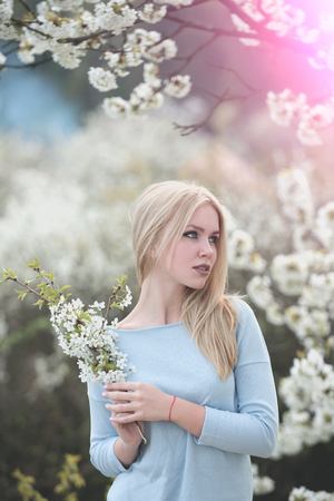 spring flower in cherry garden with beautiful young girl or woman on natural backgroundの写真素材