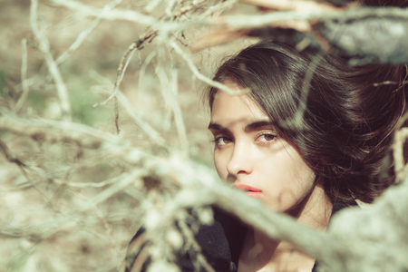 girl or pretty woman, with cute, young face and long, brunette hair, hairstyle, hiding in leafless, bare tree branches on sunny day on natural background. Young beauty. Early springの写真素材