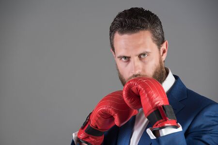 boxer man or businessman in formal blue outfit and red boxing gloves in punch position with serious concentrated face on grey background, copy spaceの写真素材