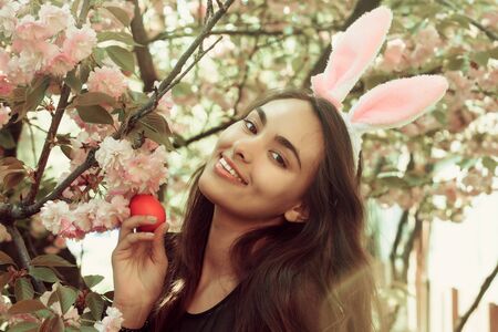 spring and summer, happy easter, holiday and celebration, youth and freshness, beauty and health, girl with egg, sakuraの写真素材