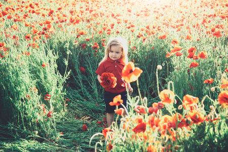 child or smiling little boy with long blonde hair in red shirt in flower field of poppy with green stem on natural background, summer, spring, childhood and happiness, opium, ecology and environmentの写真素材