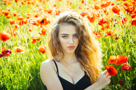 pretty woman or girl with long curly hair hold flower in field of red poppy seed with green stem on natural background, summer, spring, drug and love intoxication, opiumの写真素材