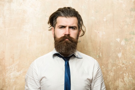 bearded man or hipster with long beard and stylish hair on serious face in tie and white shirt on textured beige backgroundの写真素材