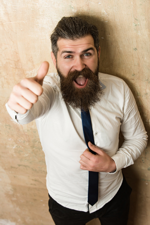 hipster. bearded man with long beard and stylish hair on happy face in tie and white shirt on textured beige background with thumb up gestureの写真素材