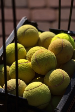tennis ball green color, sport and gameの写真素材
