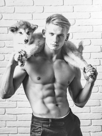 man or macho guy with naked torso and sexy body holds cute dog, puppy pet of husky breed white brick wall background in pants, black and whiteの写真素材