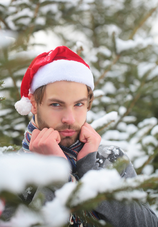 Man wearing santa hat and scarf on winter day. Guy on snowy fir trees on natural environment. Holidays celebration concept. Christmas and new year. Macho with bearded face in snow forest.の写真素材