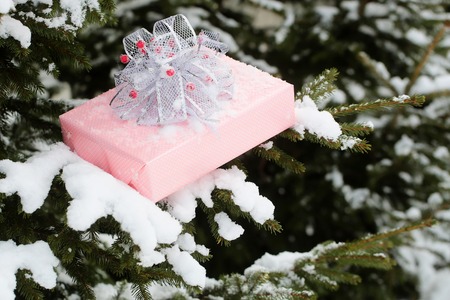 xmas and new year background. Gift box of pink paper and bow with red berries. Christmas present on snowy fir branch. Winter forest with white snow on trees. Holidays celebration concept.の写真素材