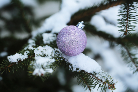 Christmas ball on fir tree. xmas decoration on snowy branch. New year background with violet bauble. Winter forest with white snow. Holidays celebration concept.の写真素材