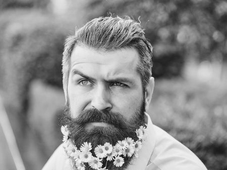 Handsome hipster man brunette with daisy flowers in beard in black shirt with elegant mustache and...