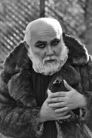 old bearded man with long white beard on serious face with makeup in fur coat holding colorful pheasant bird sunny day outdoorの写真素材