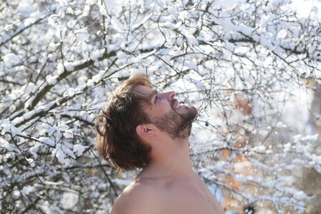 Happy man smiling on winter day. Caucasian macho in snow wood. Athlete with naked shoulders, muscles biceps, triceps. Christmas and new year. Holidays celebration concept.の写真素材