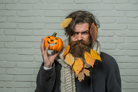 Halloween hipster with yellow leaves in beard hair. Man holding pumpkin in hand on brick wall. Holiday celebration concept. Autumn and harvest season. Trick or treat.の写真素材