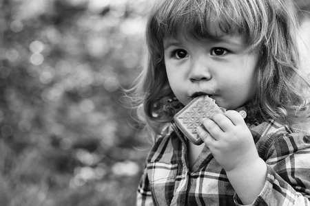 Carefree little baby boy in the park with green fresh grass in springの写真素材