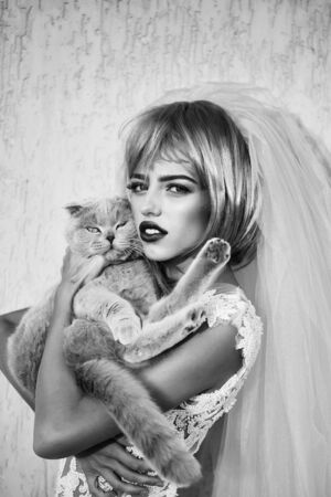 young pretty woman with orange or pink hair and bright makeup on emotional face in white wedding dress and blue bride veil with frey cat petsの写真素材