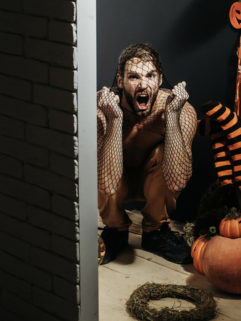 Halloween man shouting with anger in black net pantyhose on head and hands on black wall. Pumpkins, striped stockings and wreath on floor. Autumn and harvest season. Holidays celebration conceptの写真素材