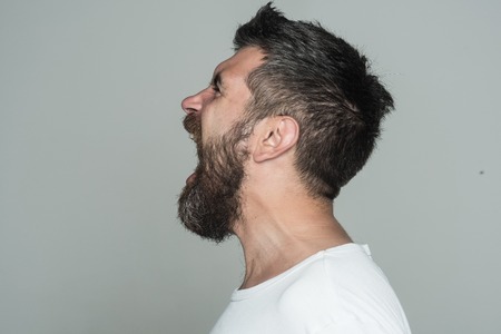 Guy or bearded man on grey background. Hipster with angry face. Feeling and emotions. Barber fashion and beauty. Man with long beard and mustache., copy spaceの写真素材
