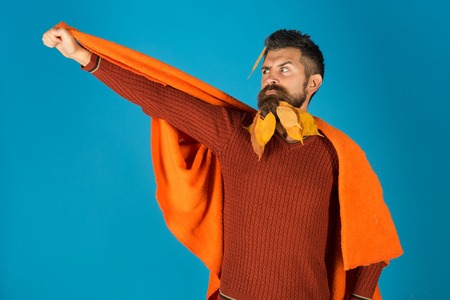 Man with natural yellow fall leaves beard in plaid. leaves beard at barber and hairdresser. Hipster or bearded guy in autumn on blue background. cold and illness. Season and autumnの写真素材