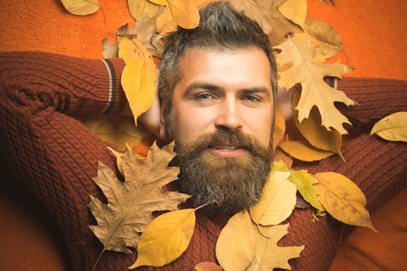 Hipster or bearded guy in autumn on orange background. leaves background at barber and hairdresser. Man with long beard in natural yellow fall leaves. Floral fashion and beauty. Season and autumn.の写真素材