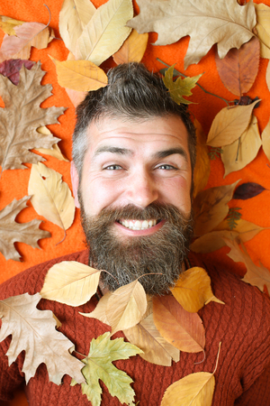 leaves background at barber and hairdresser. Floral fashion and beauty. Hipster or bearded guy in autumn on orange background. Season and autumn. Man with long beard in natural yellow fall leaves.の写真素材