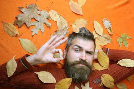 Season and autumn. Floral fashion and beauty. leaves background at barber and hairdresser. Man with long beard in natural yellow fall leaves. Hipster or bearded guy in autumn on orange background.の写真素材