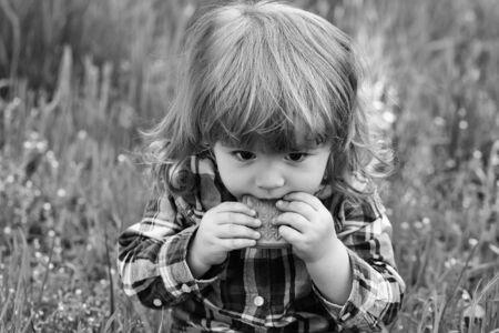 Carefree little baby boy in the park with green fresh grass in springの写真素材