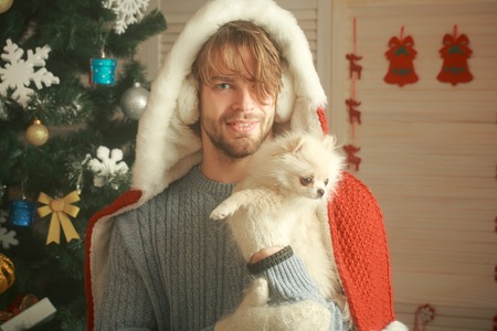 new year of dog, christmas man in santa claus red hat hold pet or small puppy at xmas tree, winter holiday and party celebrationの写真素材