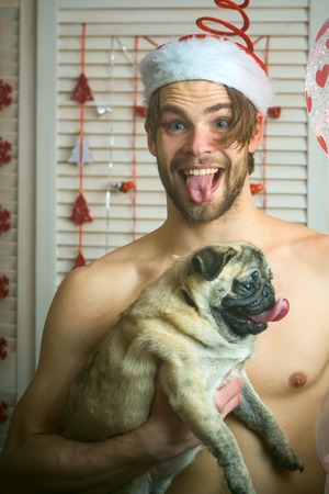 man with small dog of pug. New year of dog and winter holiday celebration. Xmas party and vacation. guy with happy face in hat. Dog in hand of man at decoration.の写真素材