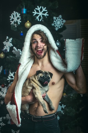 Dog in hand of man at decoration. guy with happy face in hat. man with small dog of pug. New year of dog and winter holiday celebration. Xmas party and vacation.の写真素材