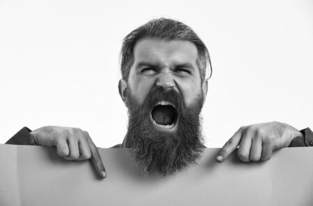 Bearded man, long beard, brutal caucasian hipster with moustache on shouting face, unshaven guy with stylish hair getting haircut with green paper sheet isolated on white background, copy spaceの写真素材