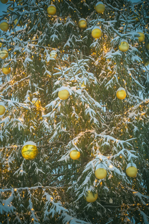 Garland decoration and illumination background. Christmas tree with decoration and garland. Xmas party celebration. New year tree on blue sky. Winter holiday and vacation.の写真素材