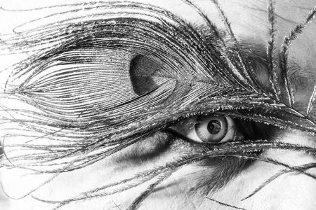 human eye with blue green color lens on face with beautiful peacock feather eyebrow as halloween or carnival holiday costume, closeupの写真素材