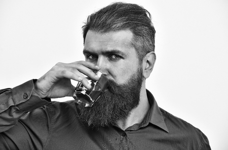 bearded man, long beard, brutal caucasian hipster with moustache holding glass with alcoholic drink, whiskey has serious face, in orange color shirt isolated on white backgroundの写真素材