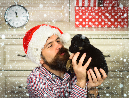 christmas new year snow concept Christmas happy man kiss puppy. Santa claus bearded guy at Christmas. Winter holiday, dog year. Xmas party celebration. New year of dog, man with dog at present boxの写真素材