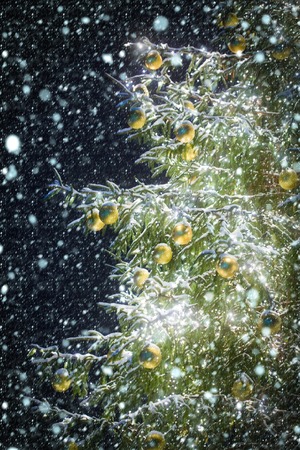 new year christmas snow concept Winter holiday and vacation. Garland decoration and illumination. New year tree on blue sky. Xmas party celebration. Christmas tree with decoration and garland.の写真素材