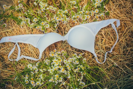 Brassiere and camomile flowers on natural hay background. Fashion, underwear, lingerie. Erotic,...