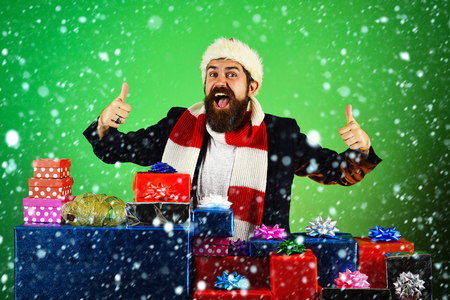 new year christmas snow concept Christmas happy man with beard at present box on green background. New year hipster at Christmas. Winter holiday and xmas. Santa claus bearded man in hat and scarf.の写真素材