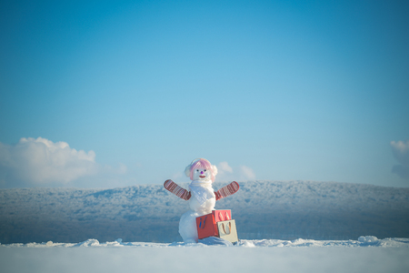 christmas snowman shopper in fashionable hat and pink wig with shopping bag on blue sky, winter holiday celebration, new year and xmas, winter fashion, black fridayの写真素材
