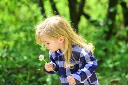 Kid with long blond hair in plaid shirt outdoor. Child blow dandelion in spring or summer park. Childhood, future, growth concept. Boy with flower on idyllic sunny day. Freedom, activity, discovery.の写真素材