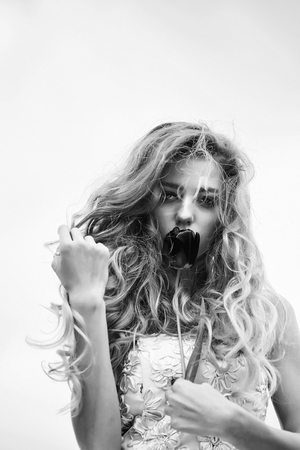 Young sensual woman in pink dress with one red tulip and long curly hair outdoor on white backgroundの写真素材