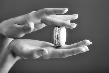 female hands with soft tender skin and blue manicure holding french biscuit of macaron or macaroon green color on grey backgroundの写真素材