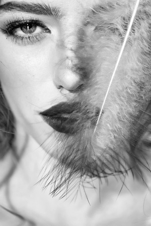 Young fashionable woman with bright makeup and red lips on pretty sexy face holding feather closeupの写真素材