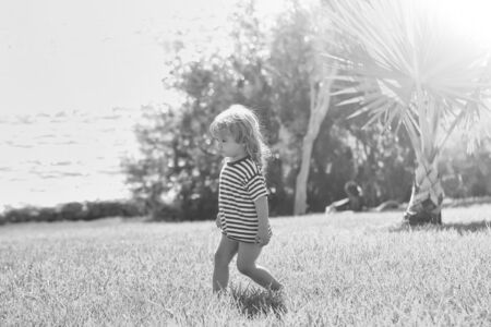 Cute baby boy with long blond hair in blue striped tshirt walks on green grass outdoors on idyllic, sunny, summer day on natural backgroundの写真素材