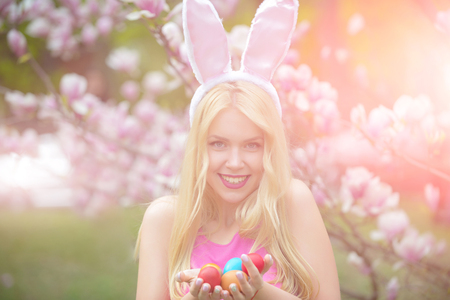 Easter eggs at woman in bunny ears. Sensual woman at magnolia with colorful eggs. Spring, nature, season. spring holiday celebration. Happy easter concept, woman in blossoming magnolia flower, spring.の写真素材