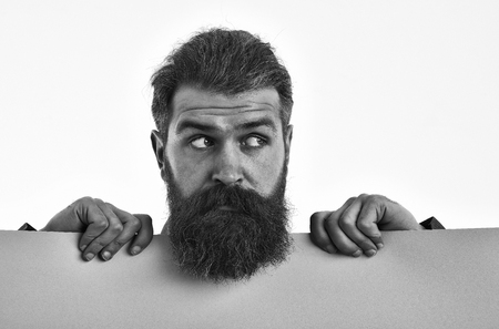 bearded man, long beard, brutal caucasian hipster with moustache on surprised face, unshaven guy with stylish hair getting haircut with green paper sheet isolated on white background, copy spaceの写真素材