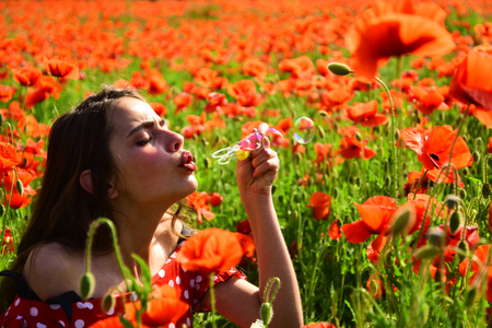 Poppy, Remembrance day, Anzac Day. Summer, spring, poppy flower. Opium poppy, youth, freshness, ecology, woman. Drug, opium, narcotics, carelessness. Woman blow bubble in poppy field, dreams, wishes.の写真素材