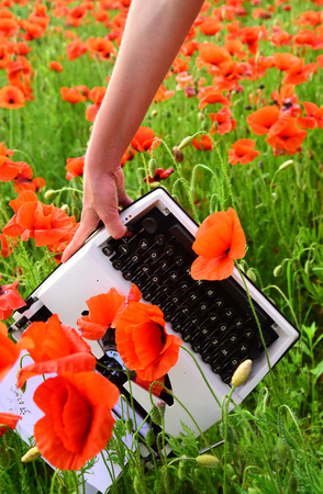 Vintage typewriter in hand, education, business, grammar. Opium poppy, agile business, ecology. Journalism and writing, summer. Poppy, new technology, Remembrance day. Drug, narcotics, opium, novel.の写真素材