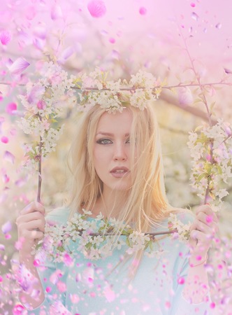 Blooming flowers tree. Sacura tree bloomingの写真素材