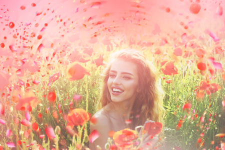 Blooming flowers tree. Sacura tree bloomingの写真素材